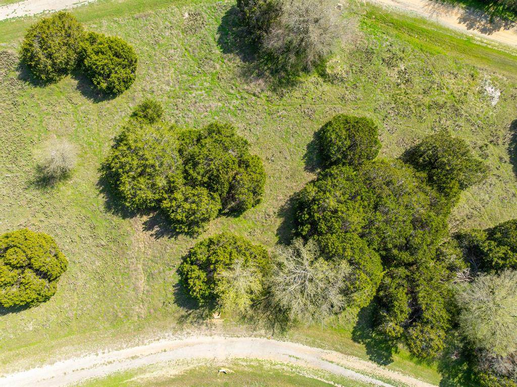 11082 Briarwood Drive - Photo 1