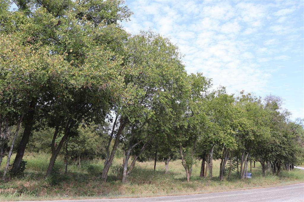 3012 Nolan River Road - Photo 1