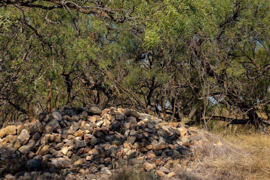 TBD County Road 242 - Photo 1