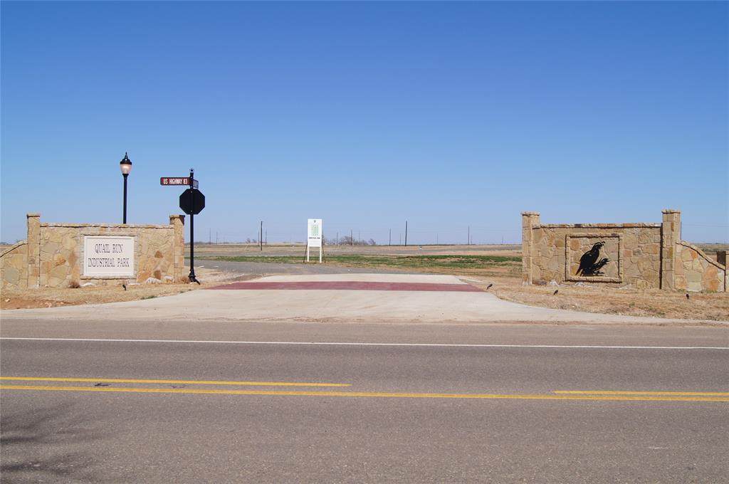 215 Texas Blue Lane - Photo 1