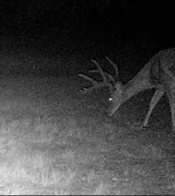 5860 County Road 423 - Photo 1