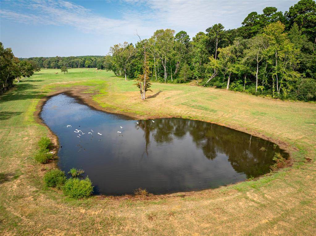 1323 An County Road 153 - Photo 1