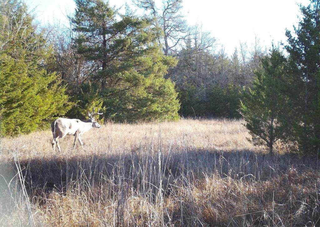 80048 County Road 24200 - Photo 1