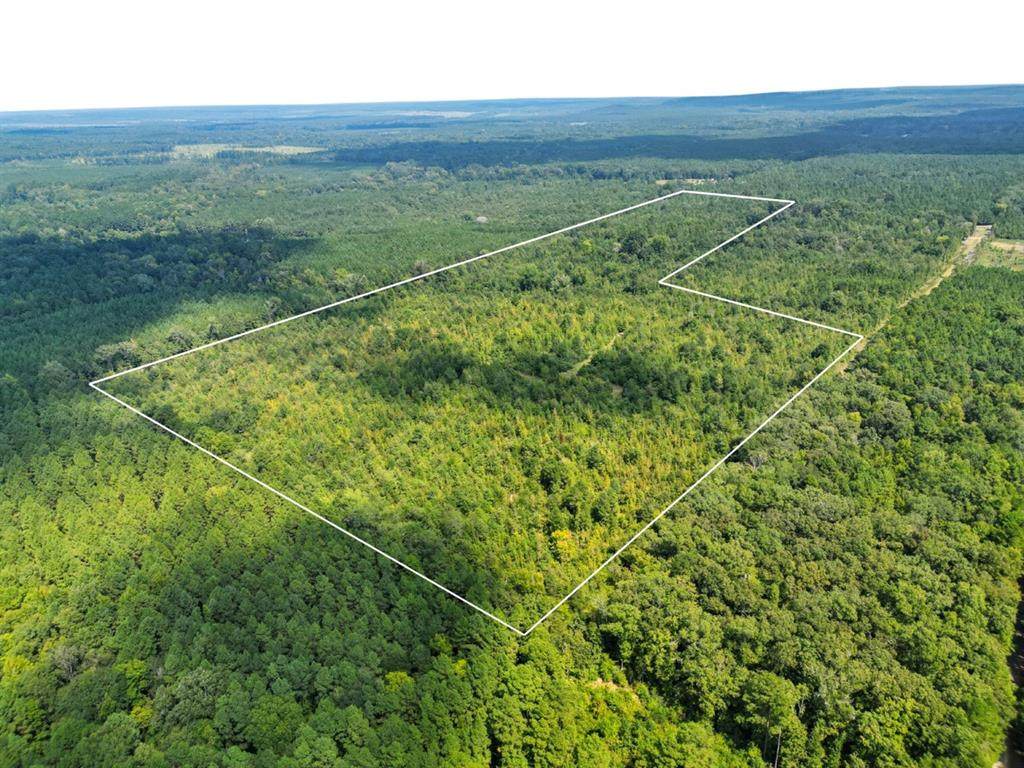 2918 La-153 Highway - Photo 1