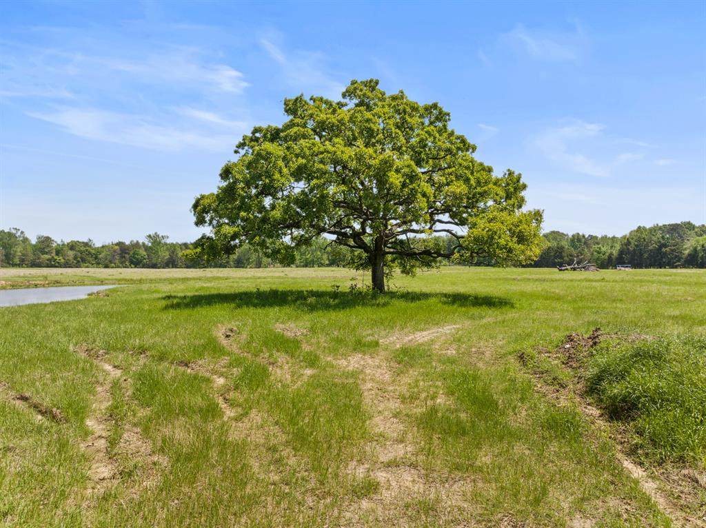 Lot A County Road 3324 - Photo 1