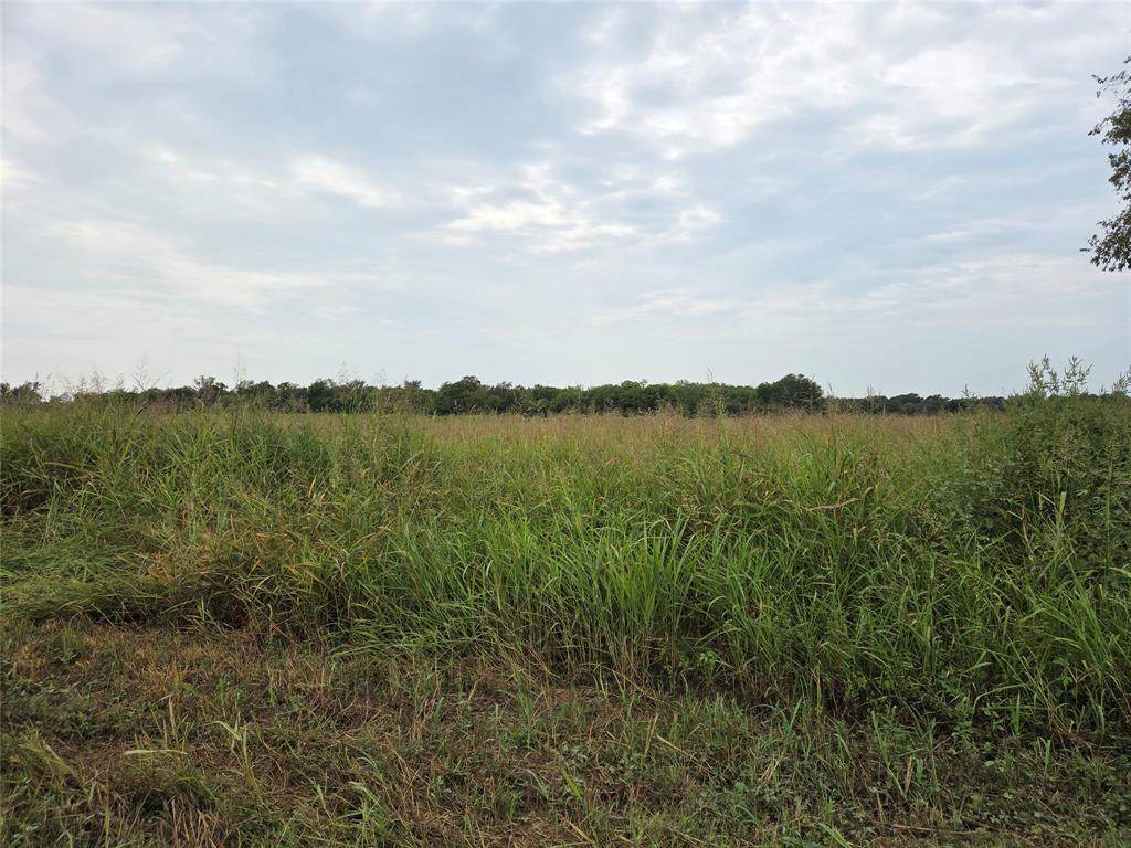 TBD County Road 3615 - Photo 1