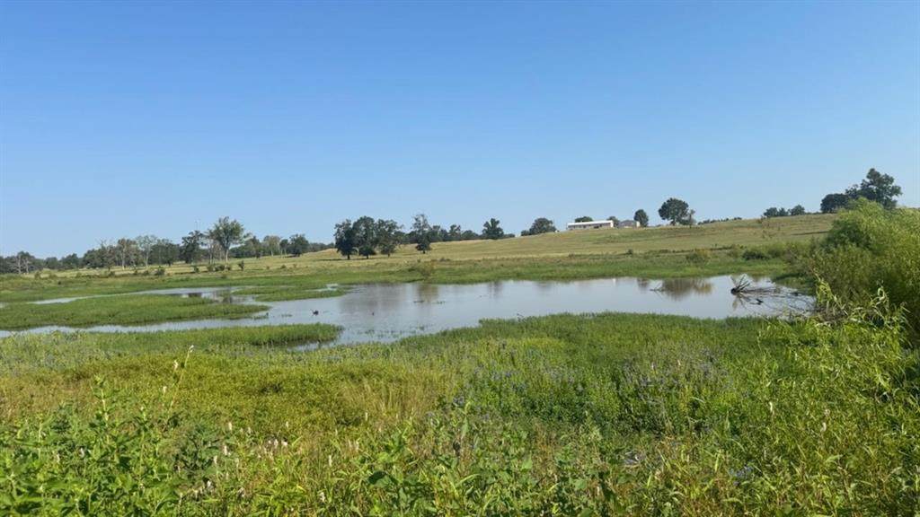 768 County Road 2220 - Photo 1