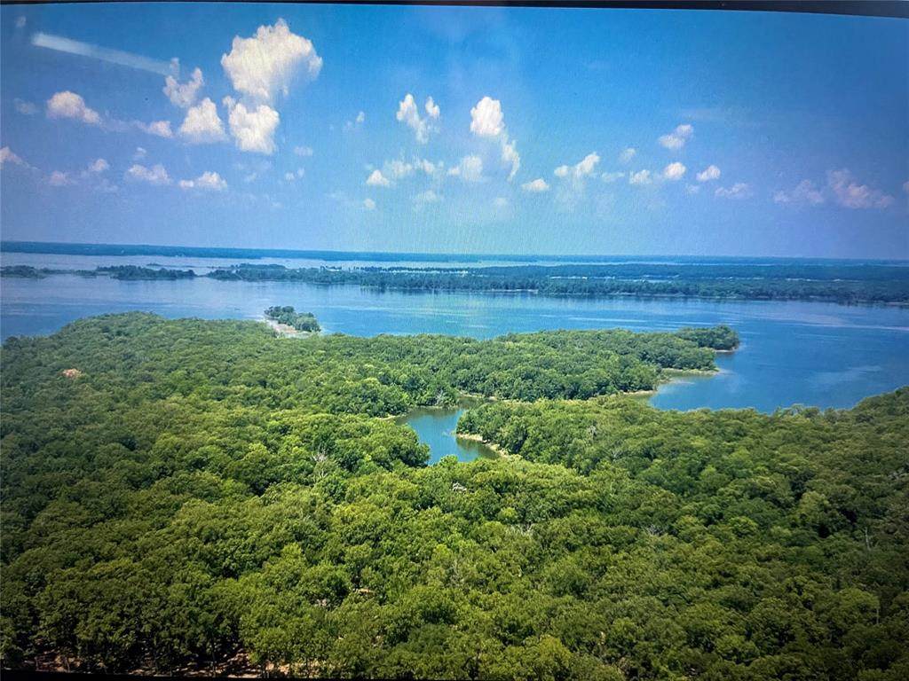 Lot 22 & 22A Fisherman's Bay Lake Fork - Photo 1