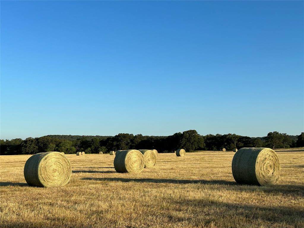 000b Wilson Bend Road - Photo 1
