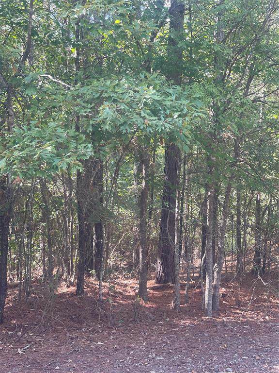 0 Ferry Lake Tract B - Photo 1