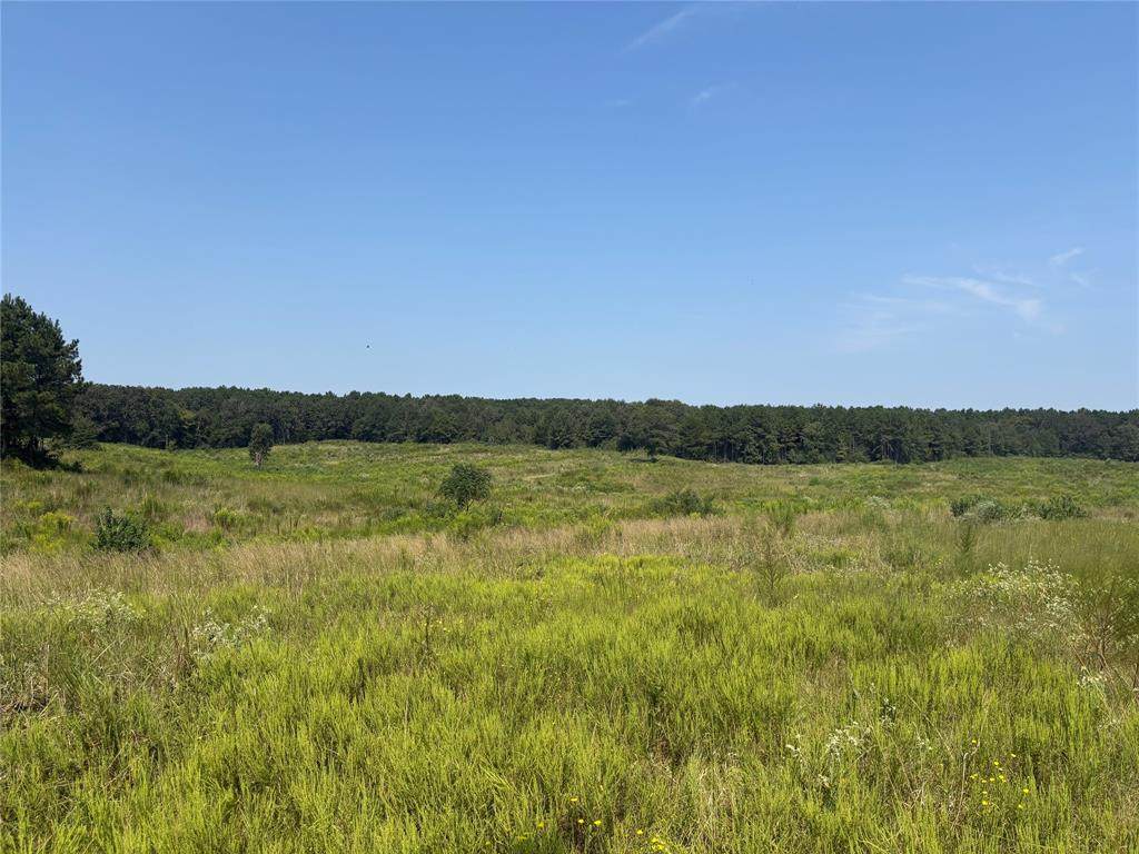 TBD 000 County Road 4378 - Photo 1