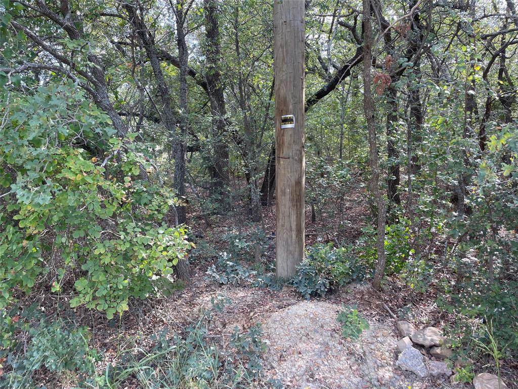 Lot 29 Brittons Lane - Photo 1