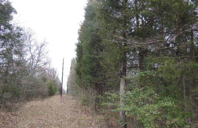 TBD County Road 4455 - Photo 1