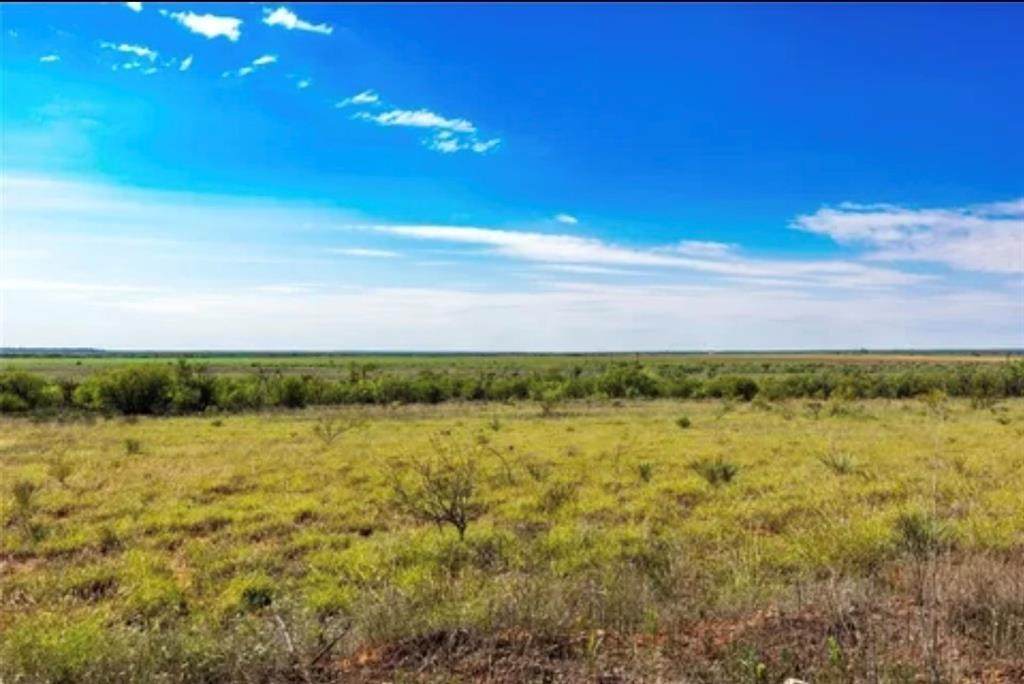 4 County Road 463 - Photo 1