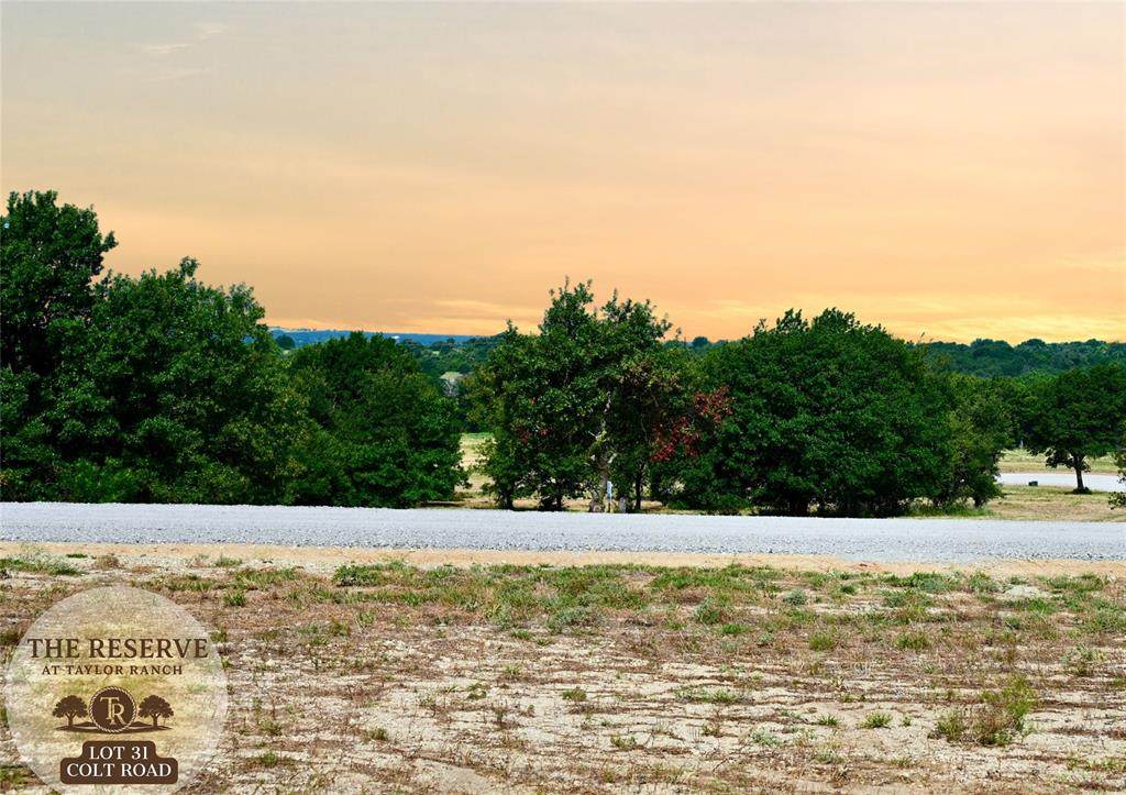 Lot 31 Colt Road - Photo 1