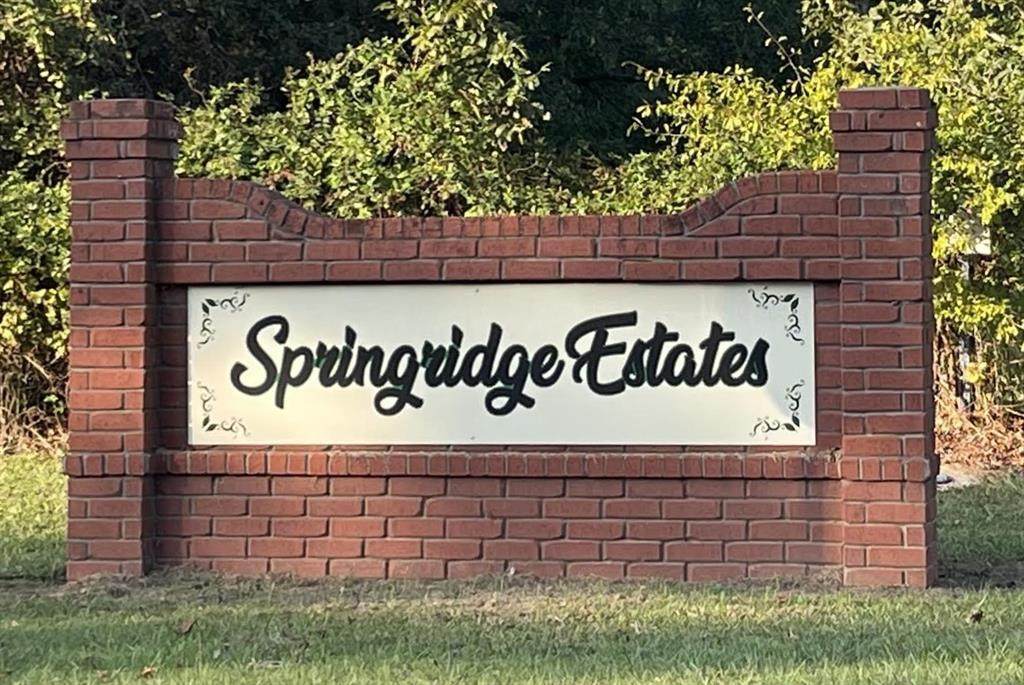 0 Shane Lane - Photo 1