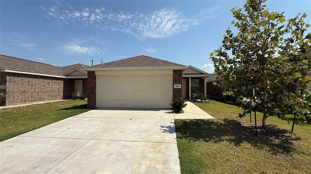 3801 Harper Street - Photo 1