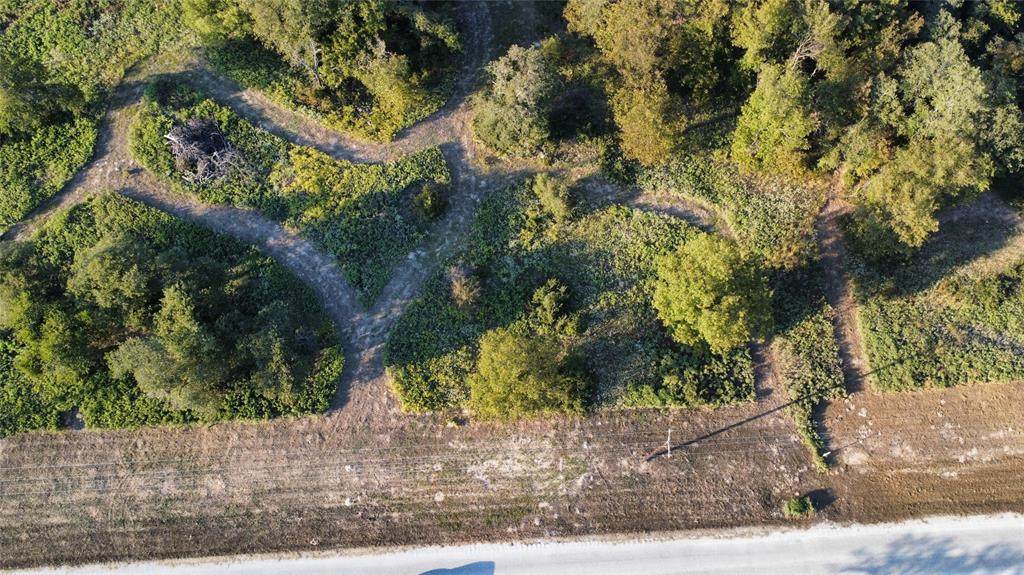 TBD Muy Grande Road - Photo 1