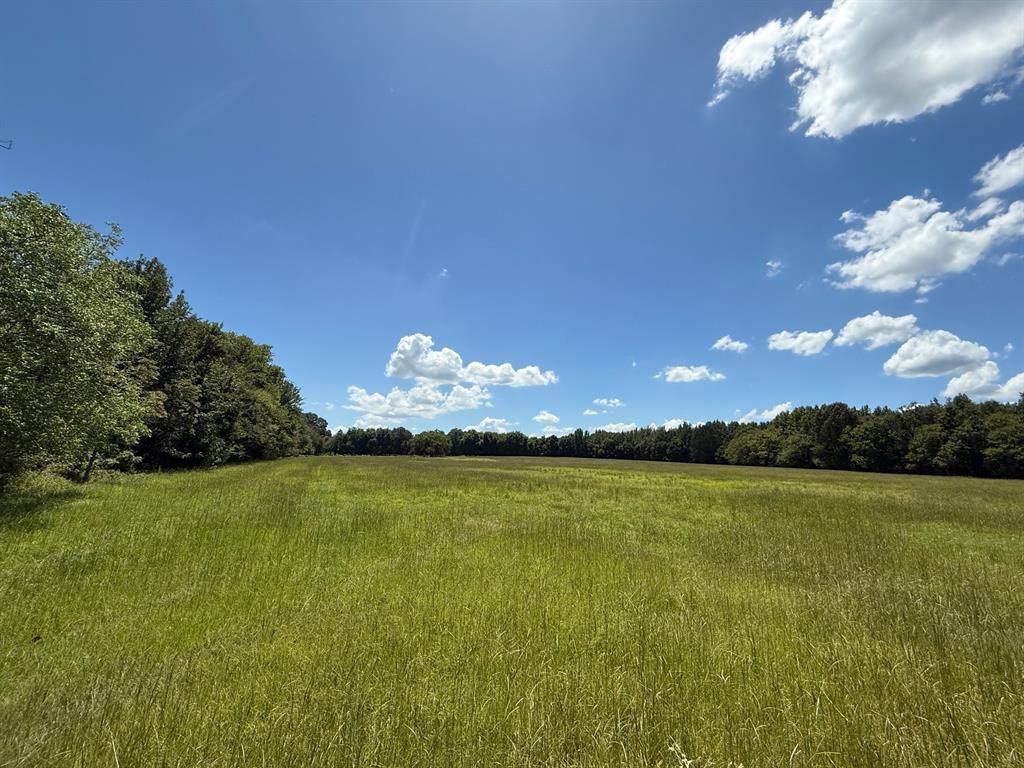 00 Cr 1670 - Photo 1