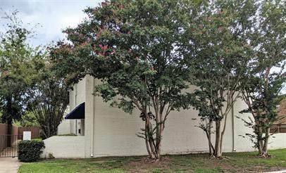 3650 Rickshaw Drive - Photo 1