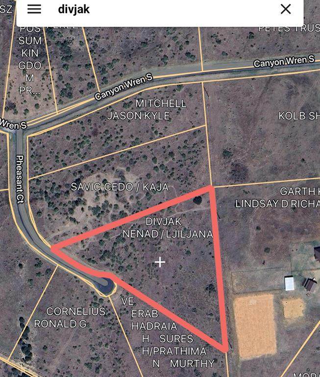 1125 Pheasant Court - Photo 1