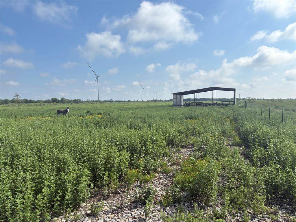 TBD 000 Fm 1838 - Photo 1