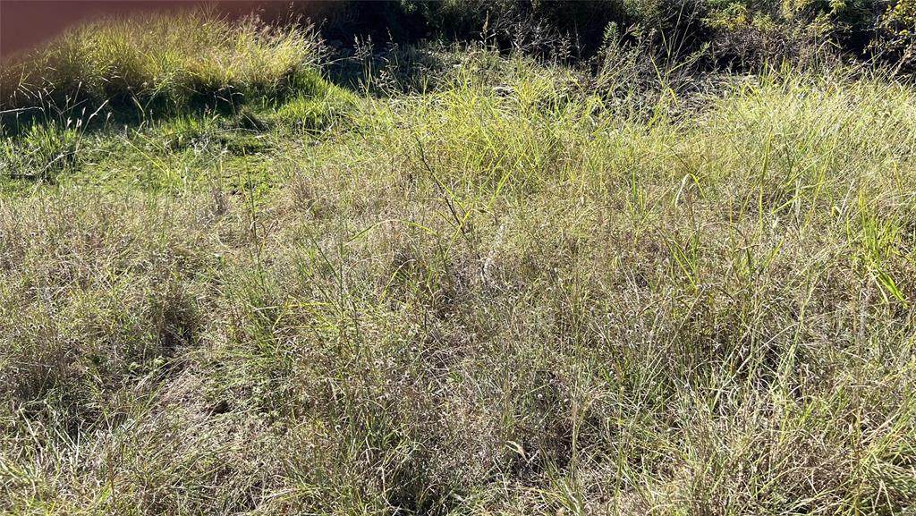 29 &30 Brook Valley Drive - Photo 1