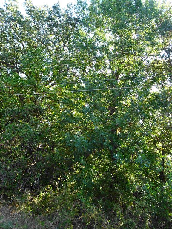 232 Softwind - Photo 1