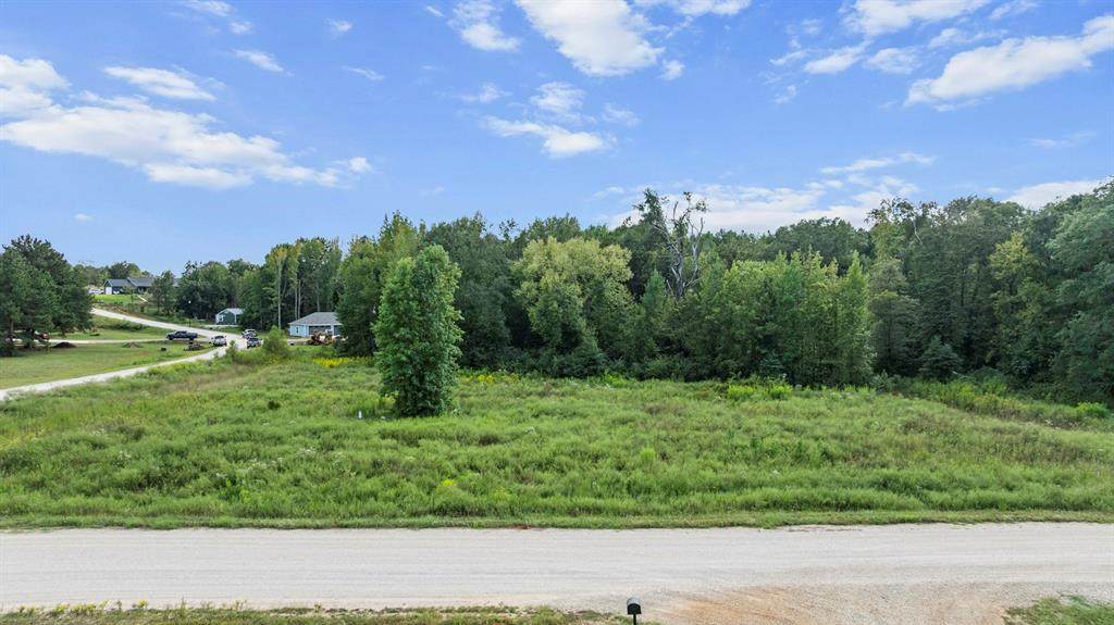 16404 Lepanto - Photo 1