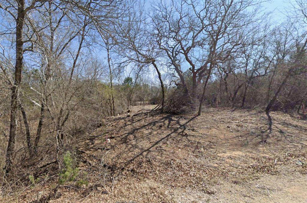 6209 Texas Trail - Photo 1