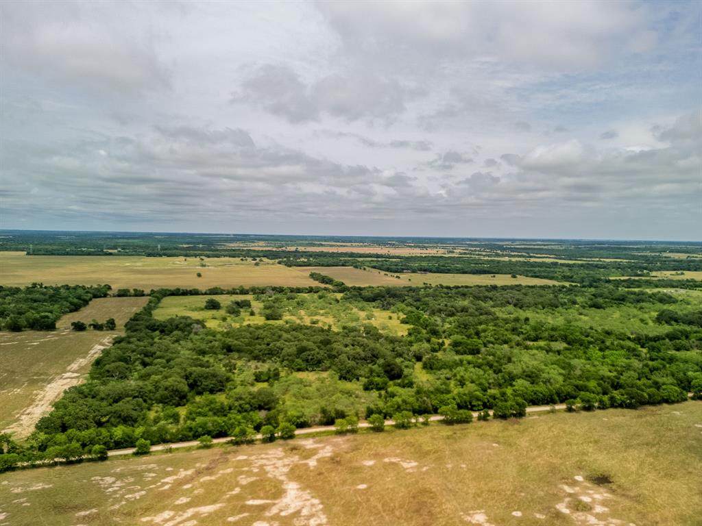 TBD 20 Acres County Road 159 - Photo 1