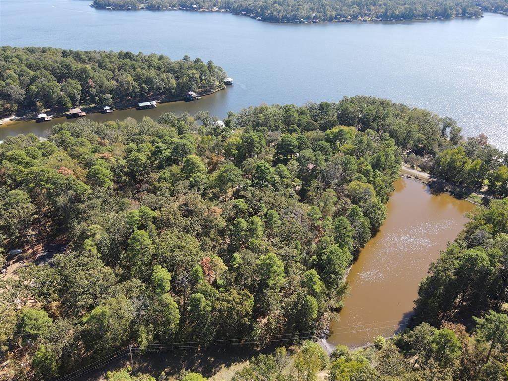 TBD King Bruce Road - Photo 1