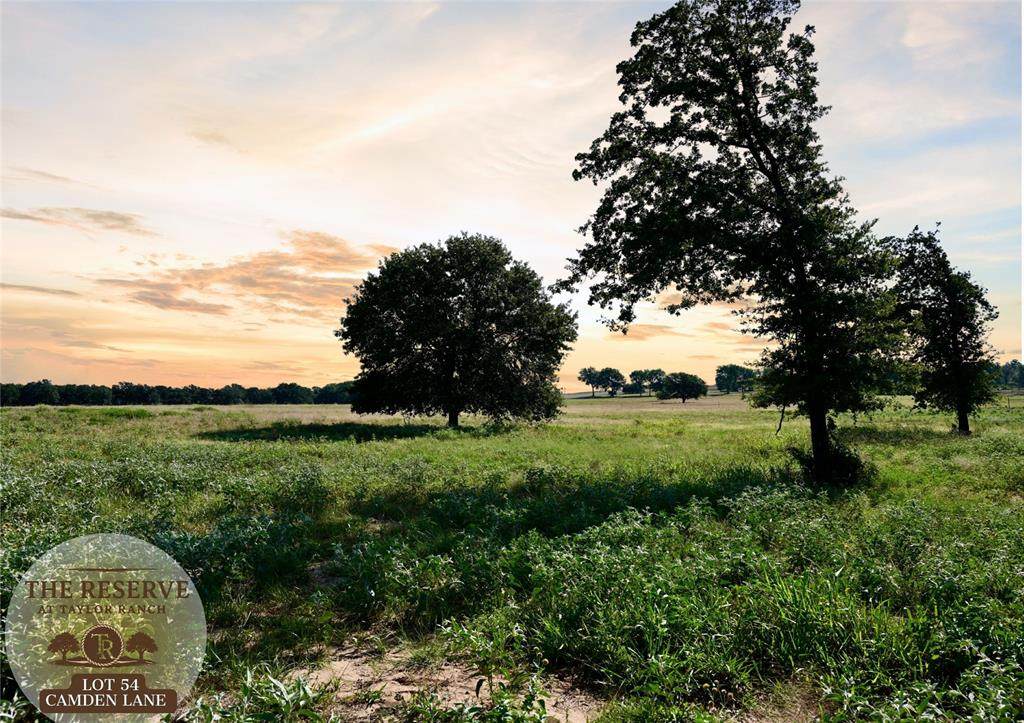 Lot 54 Camden Lane - Photo 1