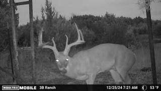 815 Cr 2080 - Photo 1