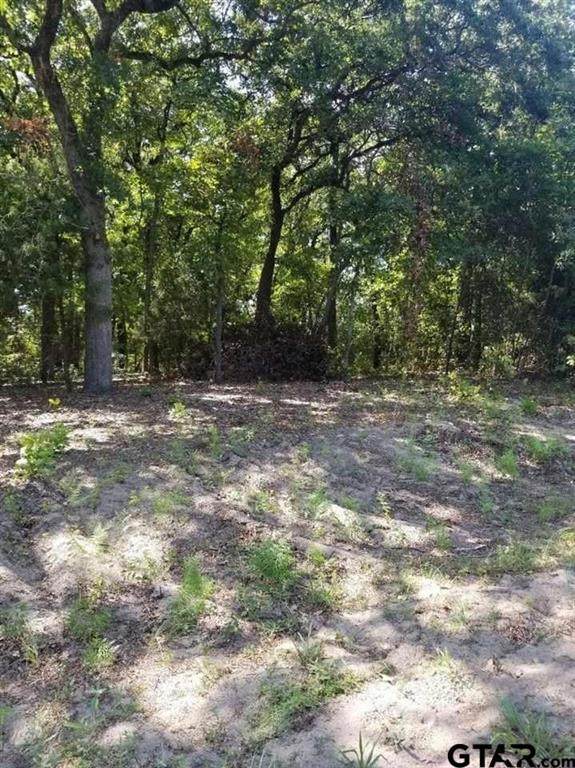 N/A Birch Drive - Photo 1