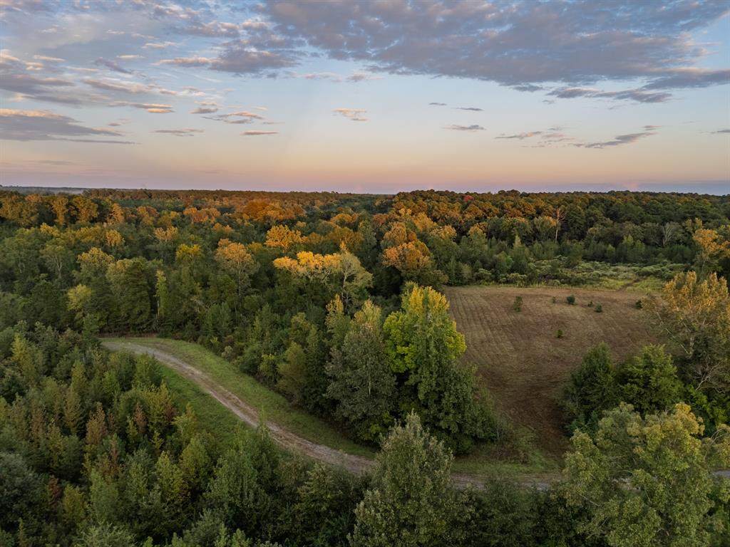 TBD Fm 1998 - Photo 1