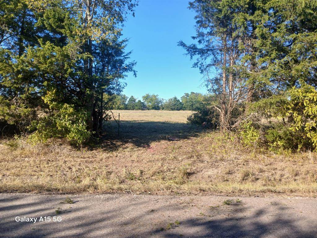 TBD County Road 4105 - Photo 1