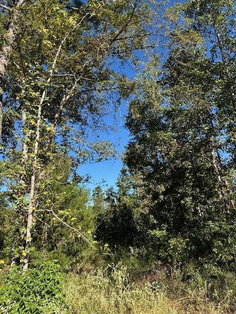 536 An County Road 1233 - Photo 1