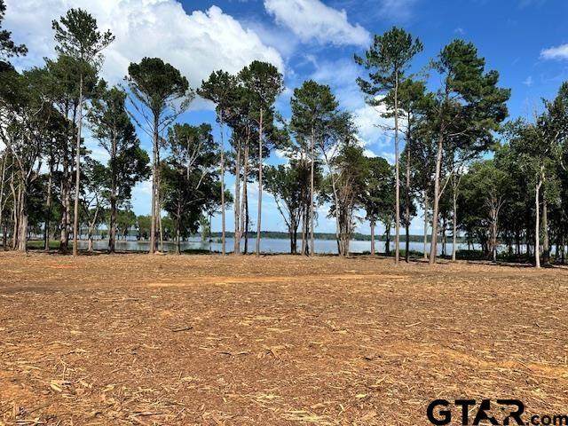 Lot 1 Oak River - Photo 1