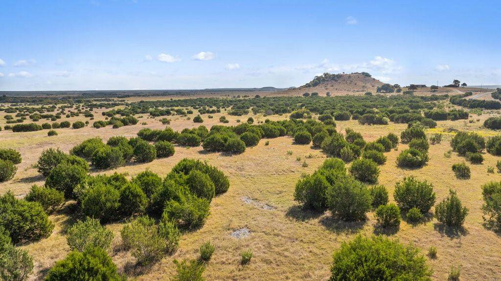 Lot 4 Fm 216 - Photo 1