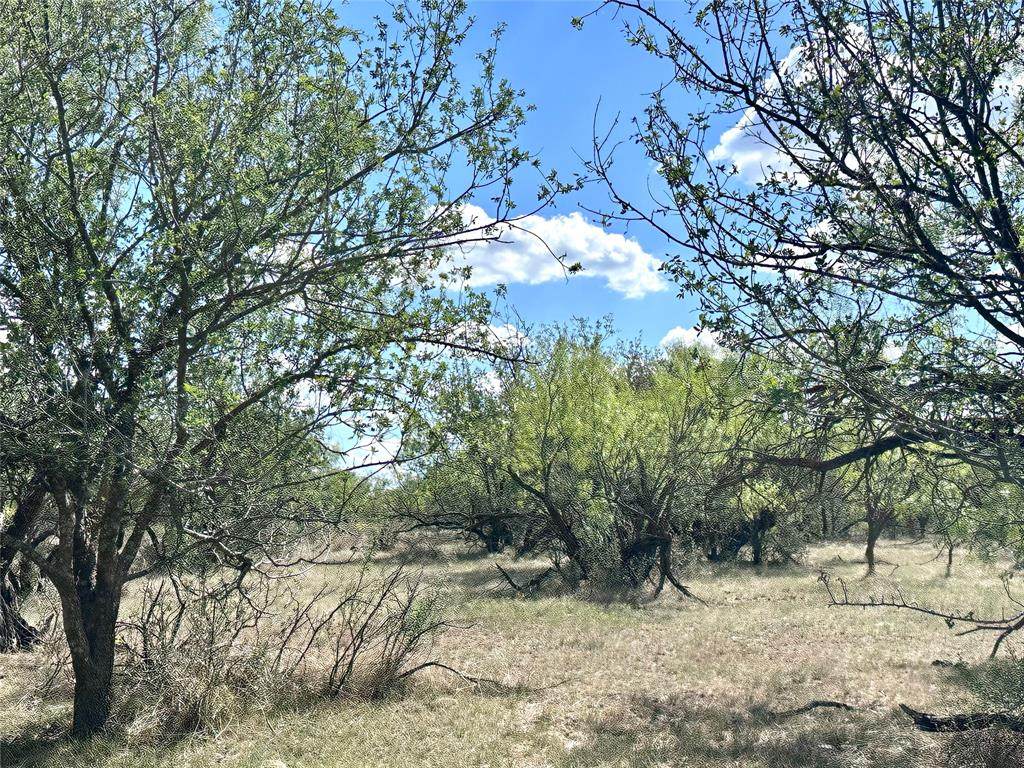 TBD Tba Cr 100 - Photo 1