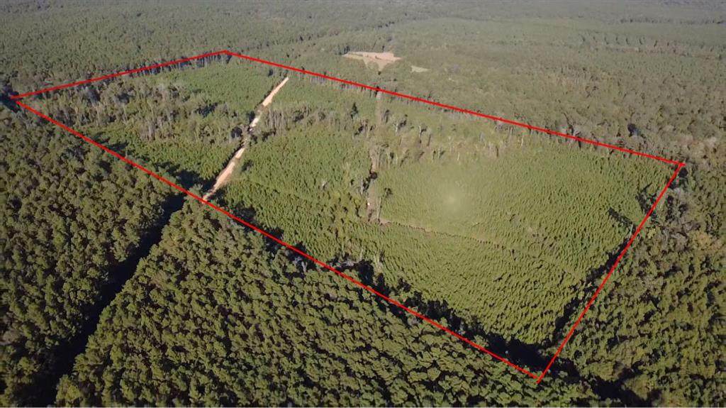 0 Pacton-Alexandria Road - Photo 1