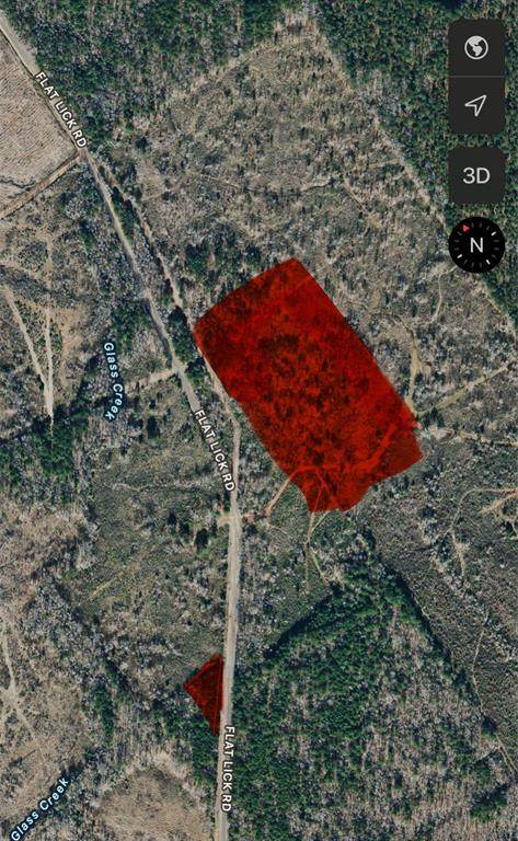 0 Flat Lick - Photo 1