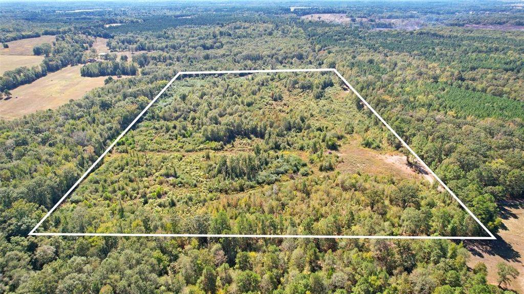 TBD Cr 3201 Whitmore Rd - Photo 1