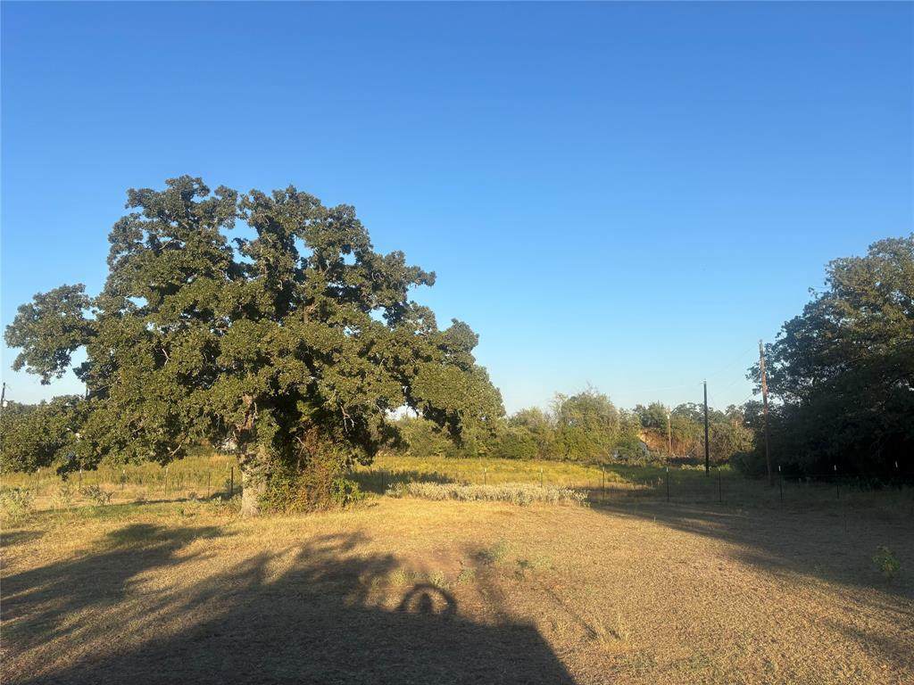 971 Barry Street - Photo 1