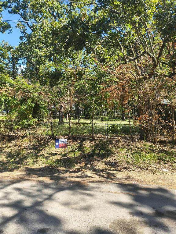 TBD Forest Oaks Drive - Photo 1