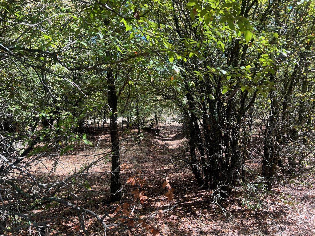 TBD Uselton Road - Photo 1