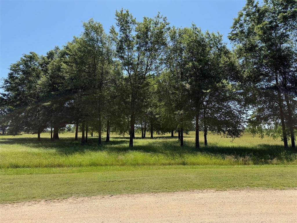 TBD 1 Pr 44005 - Photo 1