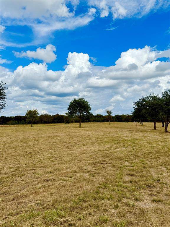 TBD Lot 12 County Road 3811 - Photo 1
