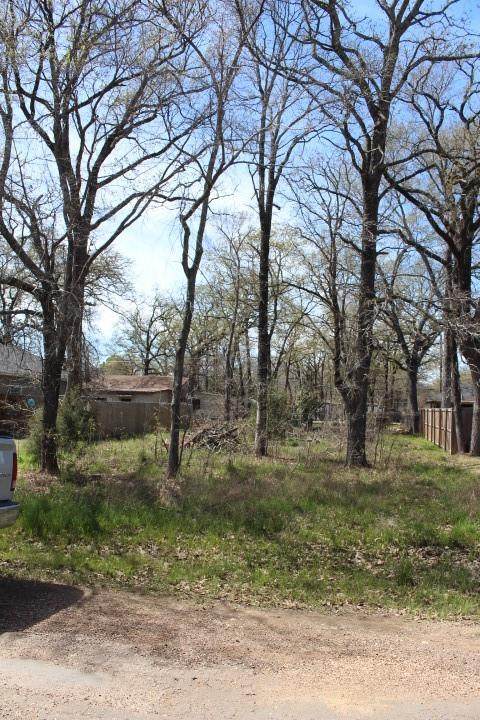 0 Woodland Trail - Photo 1